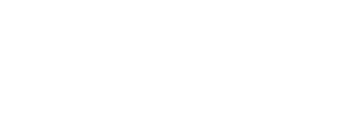 Safetygga Inc